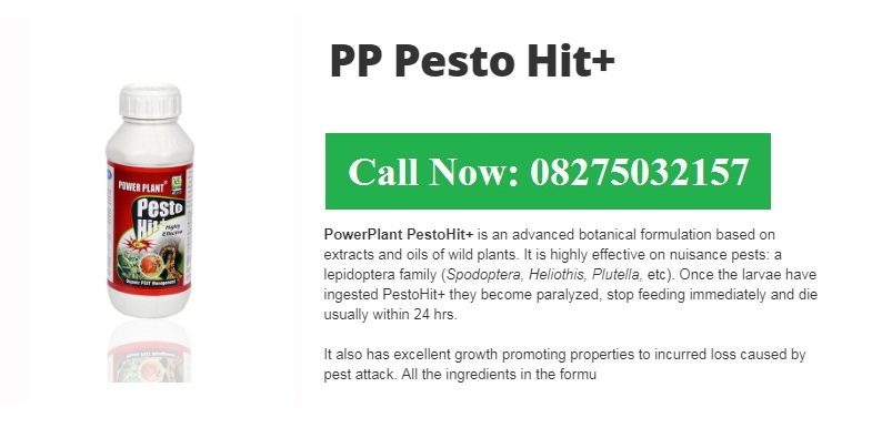 Green Planet Bio Products Nashik Mobile  shop Nashik